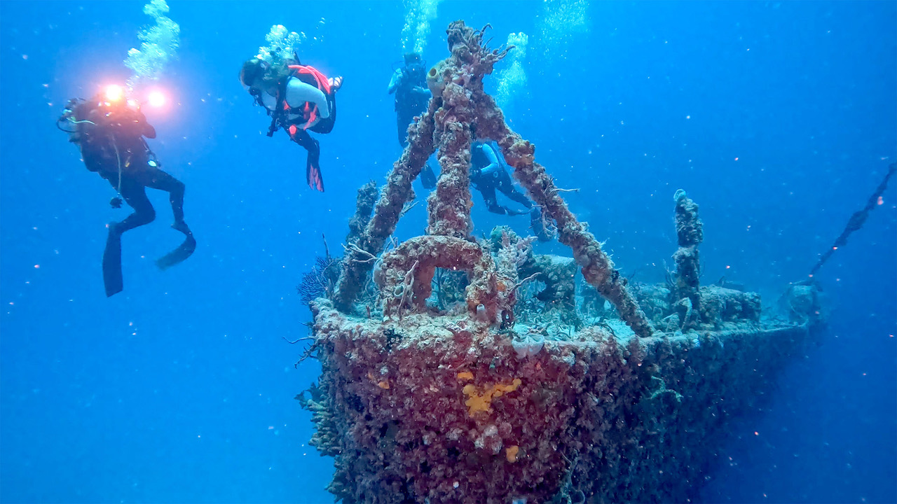 Exploring Key Largo's Best Dive Sites: A Diver's Paradise